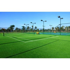 四川体育人造草坪建设